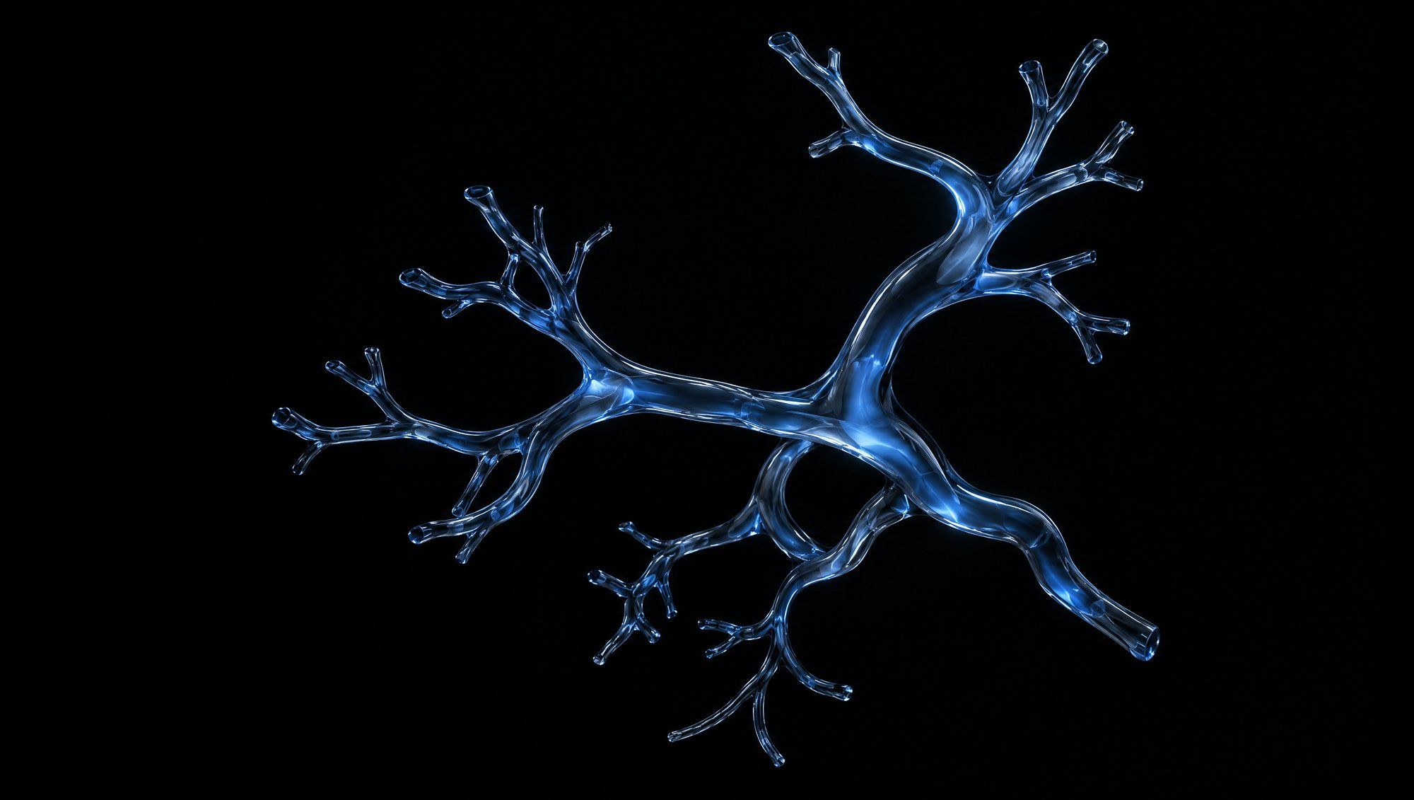 A sculpture of branching clear glass tubes, like a model of blood vessels, floating against black with a faint slate-blue glow inside.