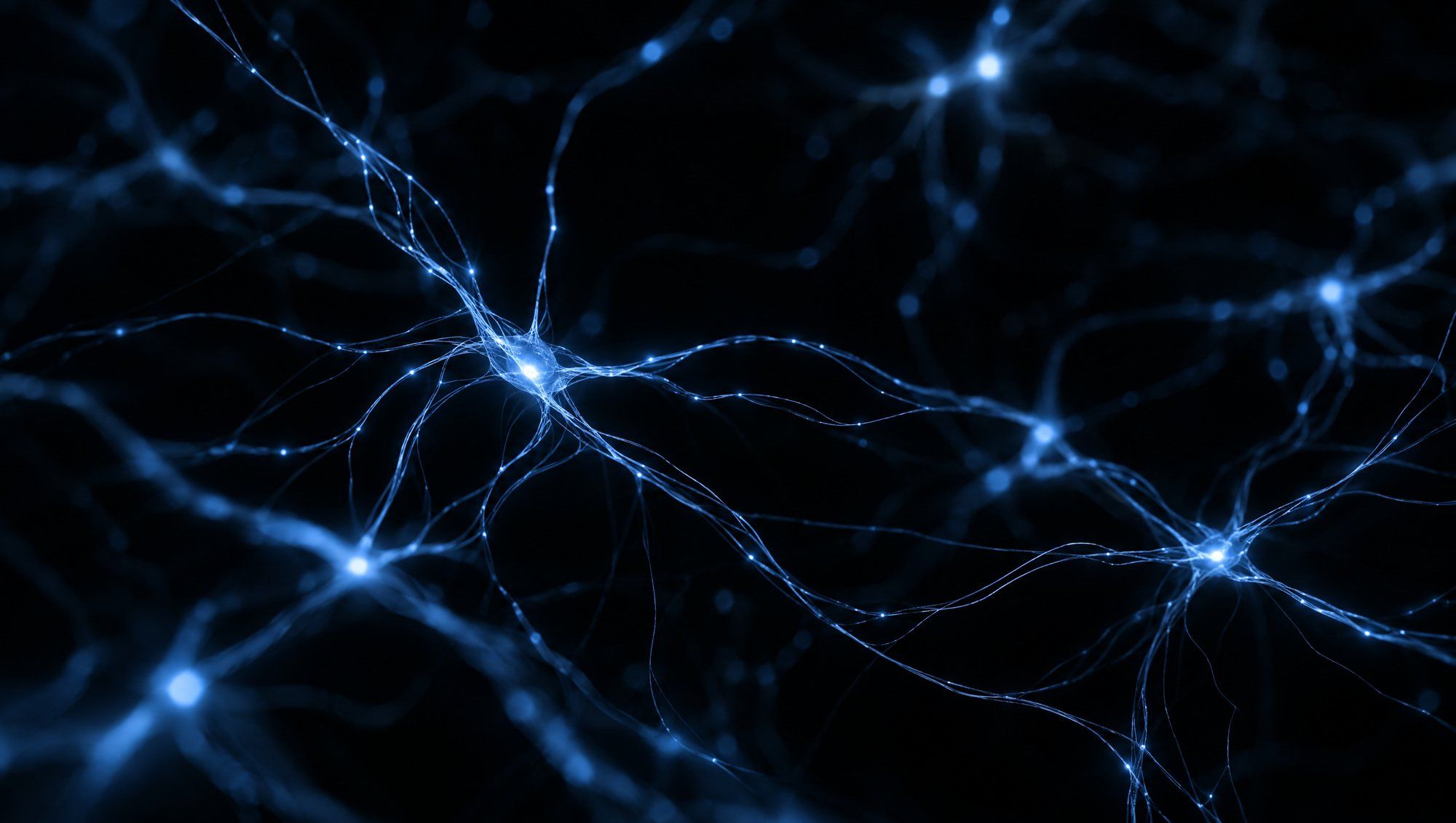 Thin threads of slate-blue light branching and meeting at glowing points against black, like a web of nerve pathways.